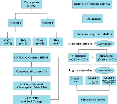 Frontiers | Association Of Coronary Artery Disease And Metabolic ...